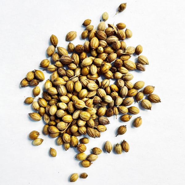 Whole Coriander