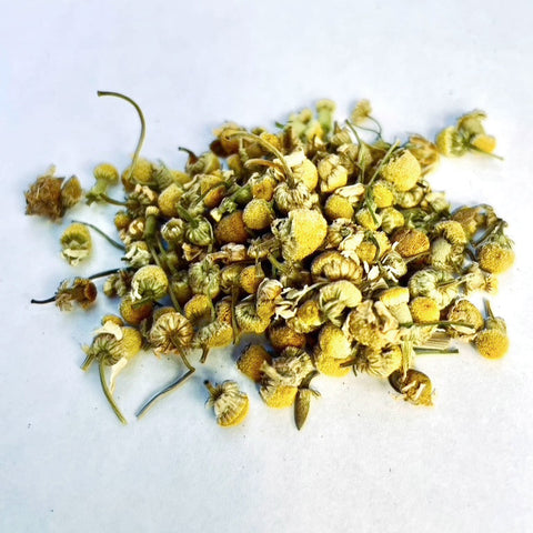 Chamomile - pure herbal tisane