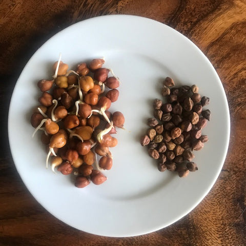 Black Chickpeas 500g
