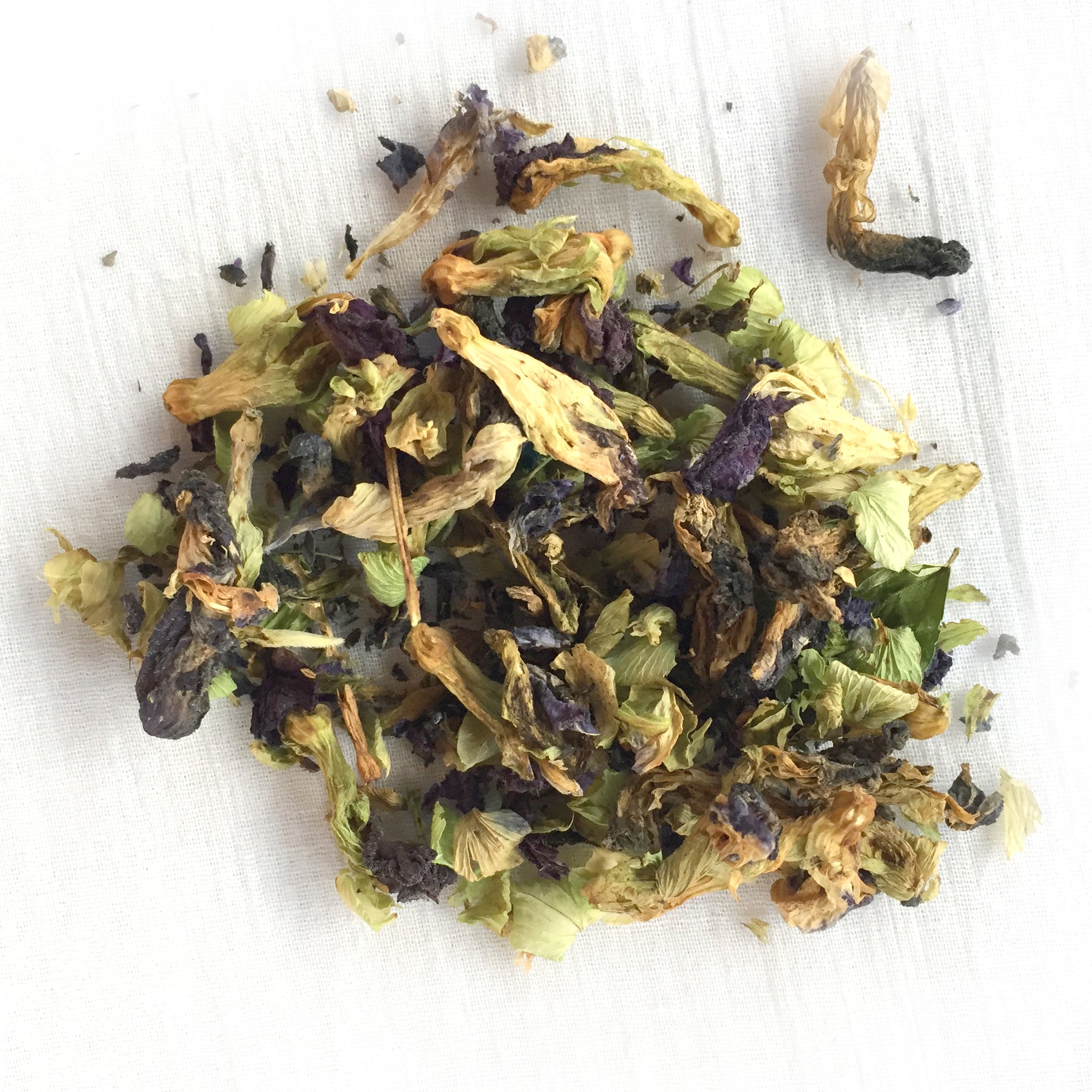 pacific calm - pure butterfly pea flower tisane