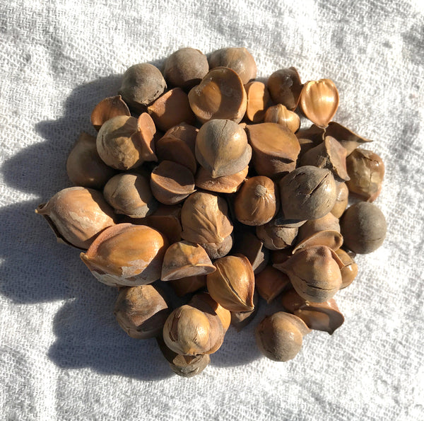 snow mountain garlic (50 g)