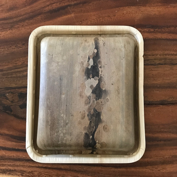 Containers with lids - pack of 10 (4 sizes available)