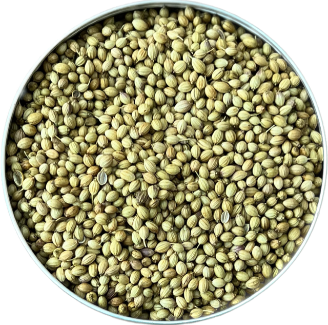 Whole Coriander Seeds
