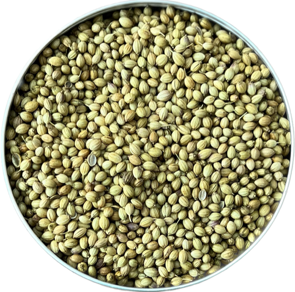 Whole Coriander Seeds