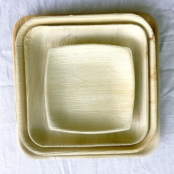 square lunch plates  /  8 inch