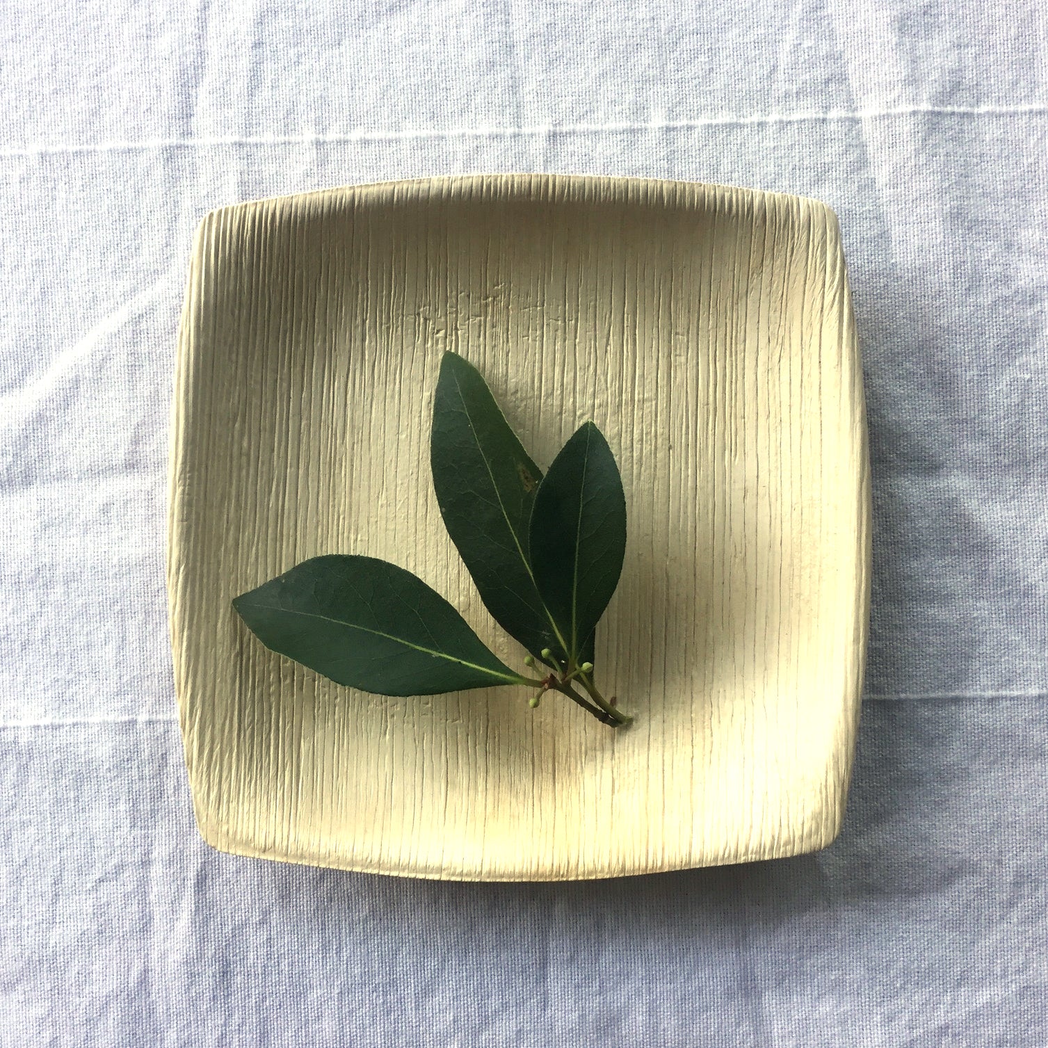 Dessert/Appetizer plates - 6" square