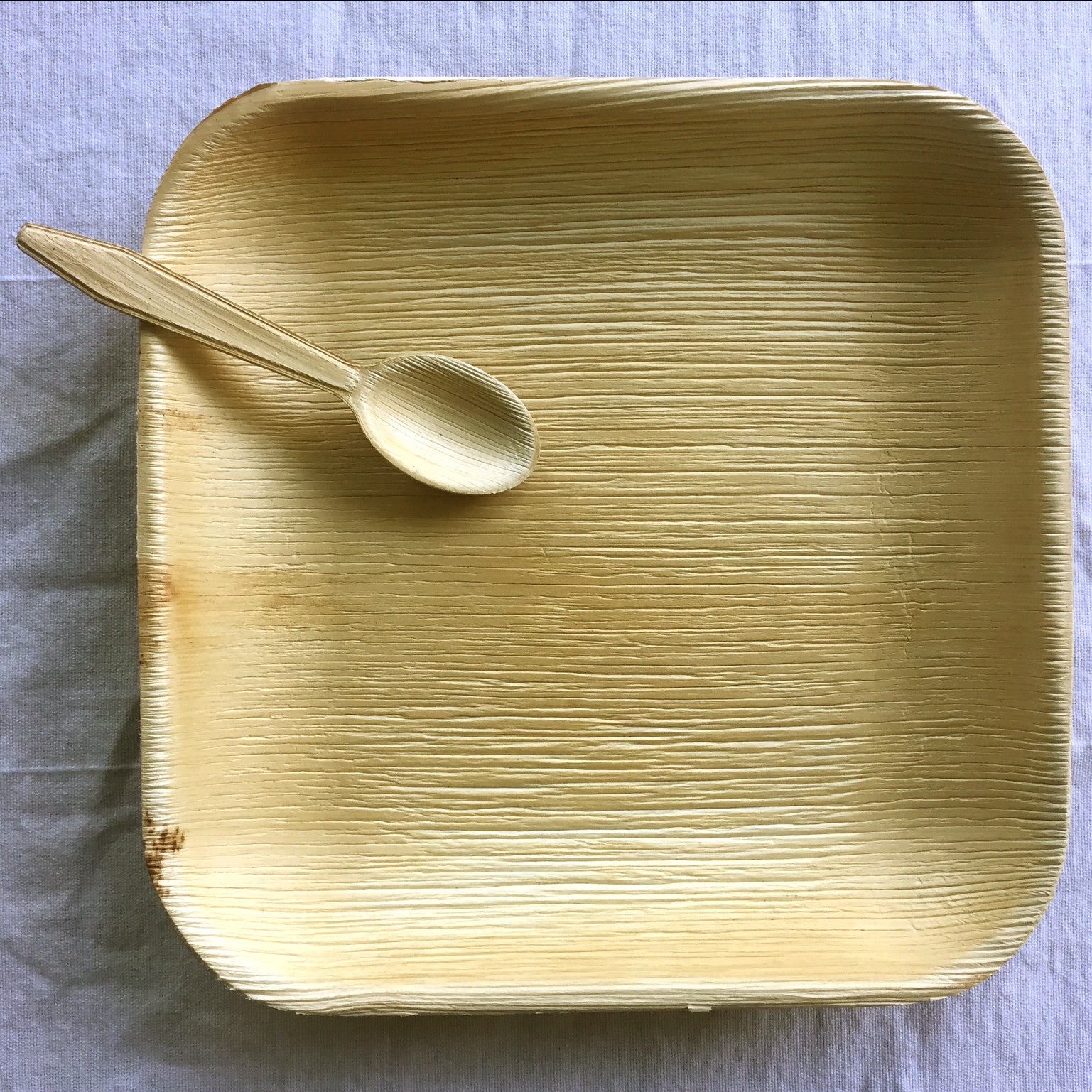 JustALeaf square dinner plates